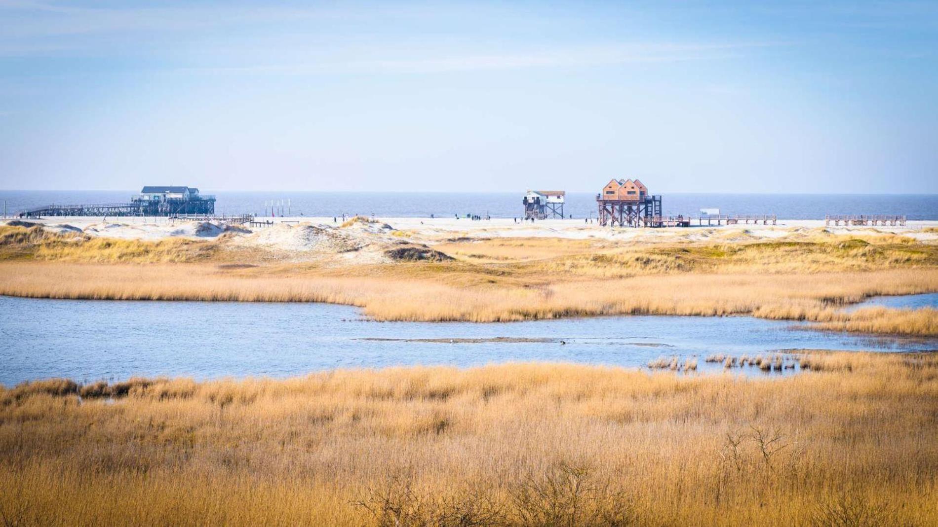 Fewo-Nordsee-Whg-11 Санкт Петер-Ординг Екстериор снимка